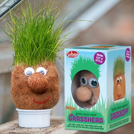 GRASSHEAD