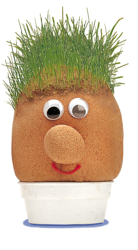 GRASSHEAD