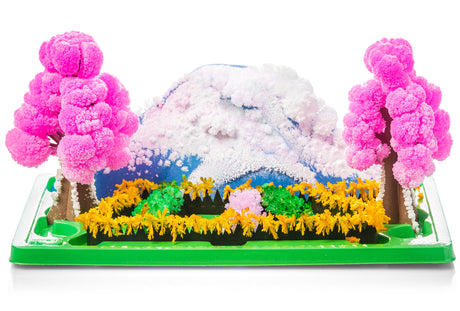 MAGIC GROWING GARDEN