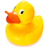 GIANT DUCK