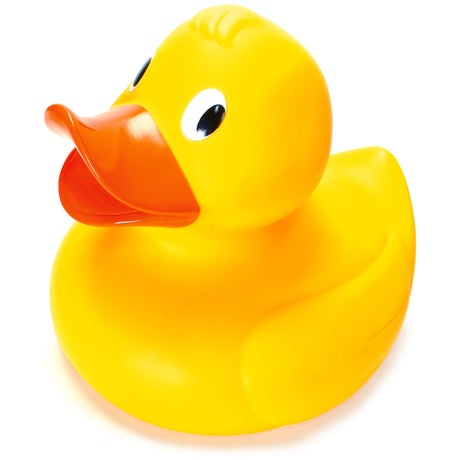 GIANT DUCK