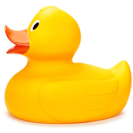 GIANT DUCK