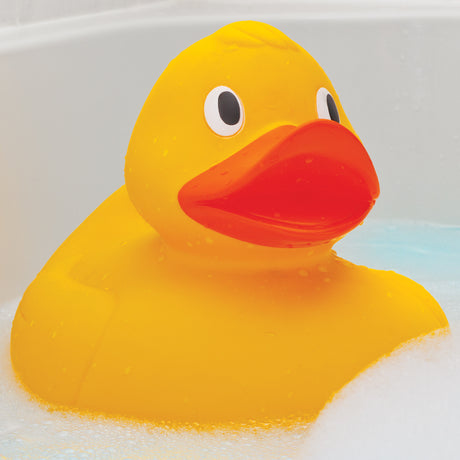 GIANT DUCK