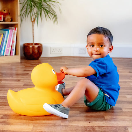 GIANT DUCK