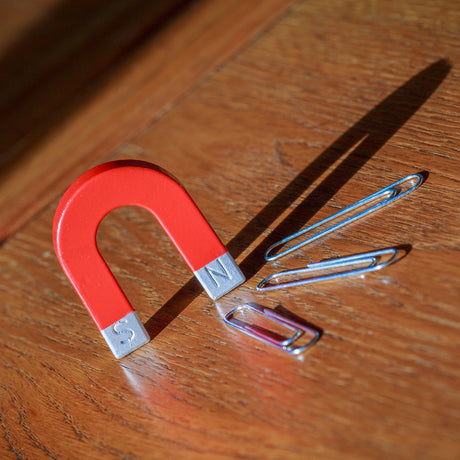 HORSESHOE MAGNET