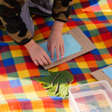 SUN PRINT PAPER