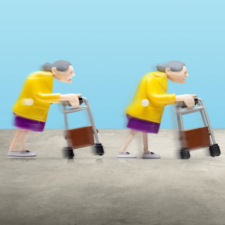 RACING GRANNIES