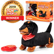 ANIMIGOS SCAMPERING SAUSAGE DOG
