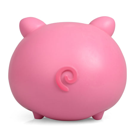 SQUISHKINS PIGGY
