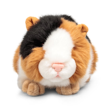 ANIMIGOS WORLD OF NATURE GUINEA PIG
