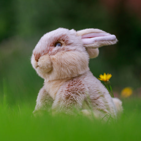 ANIMIGOS WORLD OF NATURE EUROPEAN RABBIT