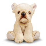 ANIMIGOS WORLD OF NATURE FRENCH BULLDOG DOG