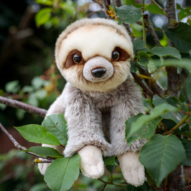 ANIMIGOS WORLD OF NATURE SLOTH