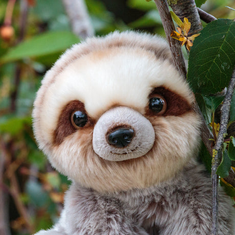 ANIMIGOS WORLD OF NATURE SLOTH