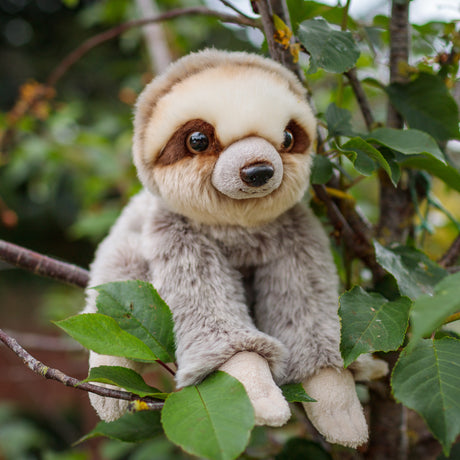 ANIMIGOS WORLD OF NATURE SLOTH