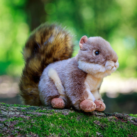 ANIMIGOS WORLD OF NATURE GREY SQUIRREL