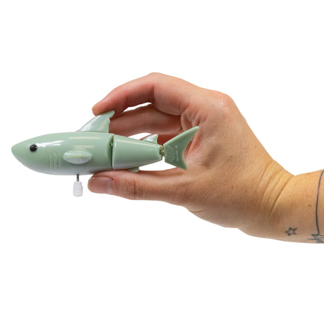 WIND UP SHARK