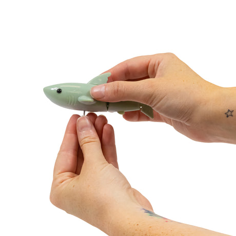 WIND UP SHARK