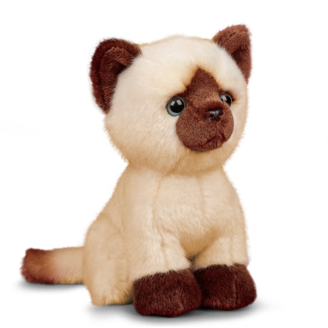 ANIMIGOS WORLD OF NATURE SIAMESE KITTEN CAT