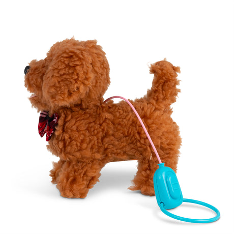ANIMIGOS CURLY COCKAPOO