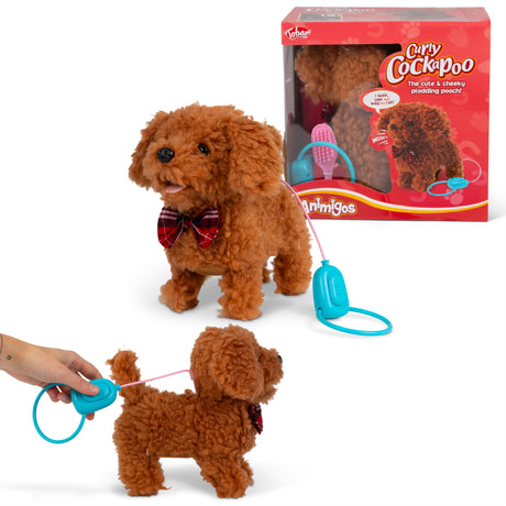 ANIMIGOS CURLY COCKAPOO