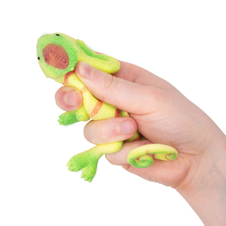 COLOUR CHANGING LIZARDS