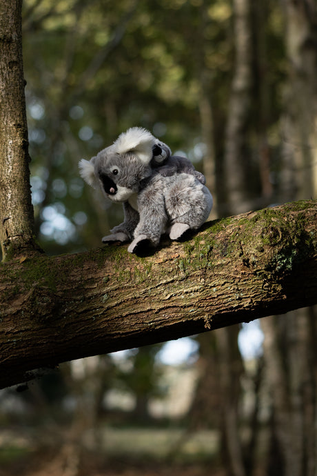 ANIMIGOS WORLD OF NATURE KOALA AND BABY