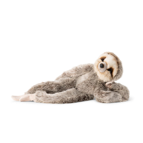 ANIMIGOS WORLD OF NATURE HANGING SLOTH