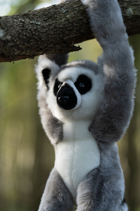 ANIMIGOS WORLD OF NATURE HANGING RING TAILED LEMUR