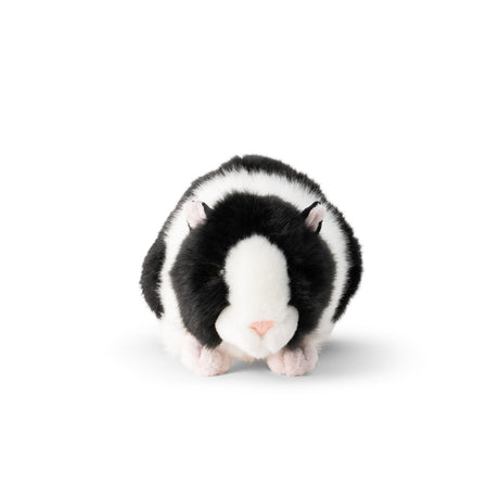 ANIMIGOS WORLD OF NATURE BLACK AND WHITE GUINEA PIG