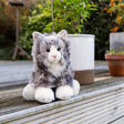 ANIMIGOS WORLD OF NATURE GREY FLUFFY CAT