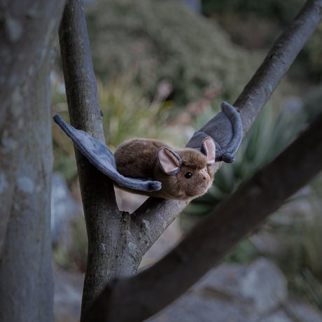 ANIMIGOS WORLD OF NATURE BAT