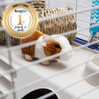 ANIMIGOS WORLD OF NATURE HAMSTER