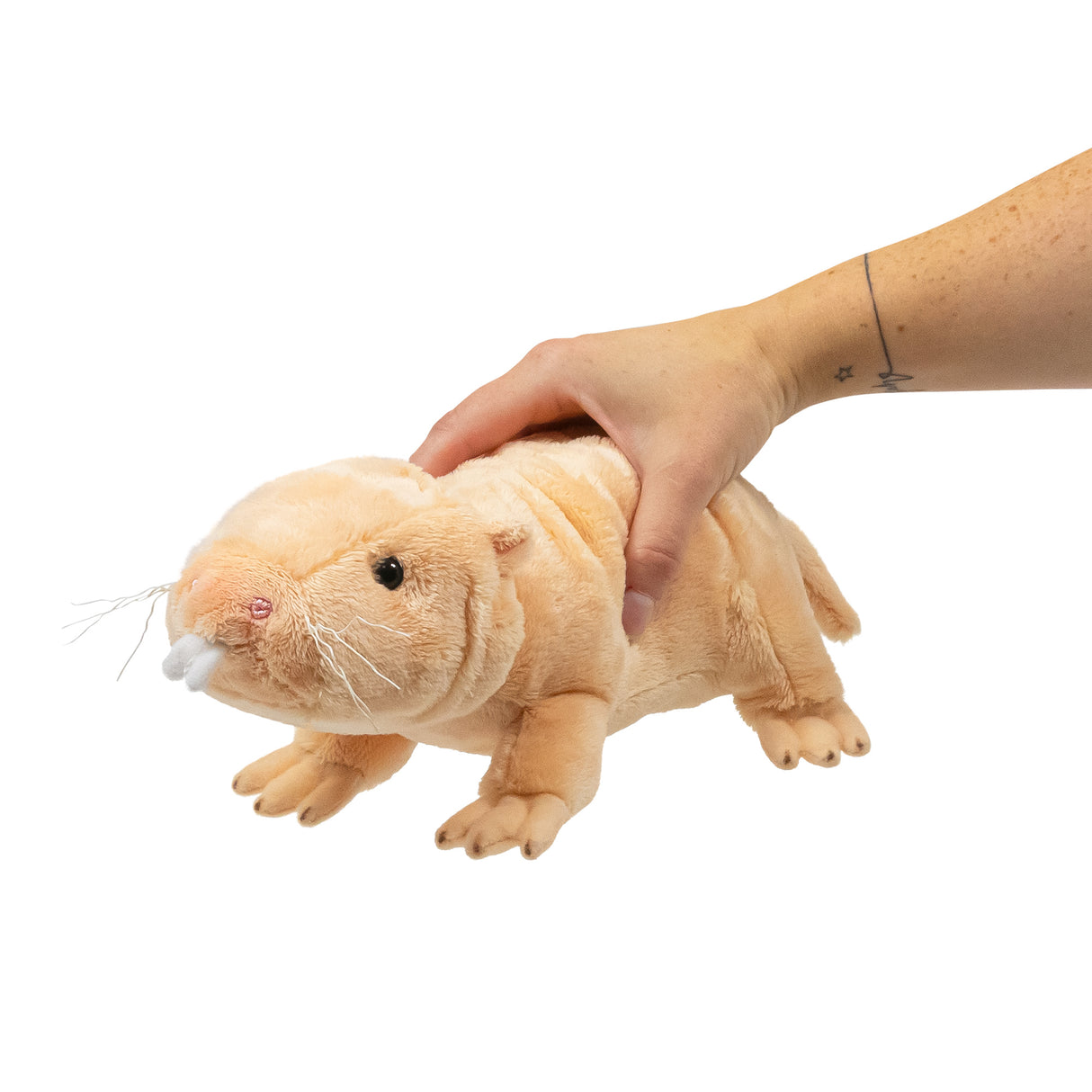ANIMIGOS WORLD OF NATURE NAKED MOLE RAT