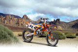 1:6 MOTORBIKE RED BULL KTM SUPERCROSS SX450 2018 #84