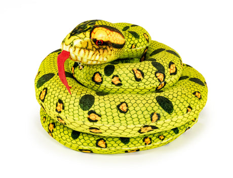 SNAKE 6 ASSORTED