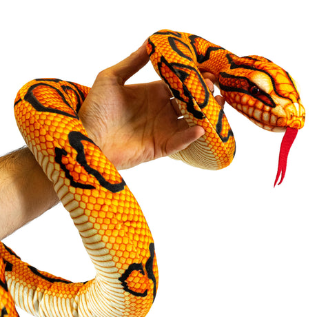 SNAKE 6 ASSORTED