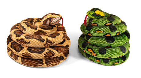SNAKE 2 ASSORTED