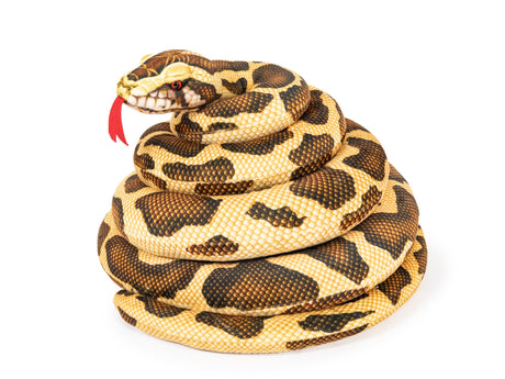 SNAKE 2 ASSORTED