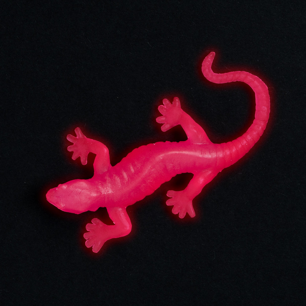 GLOW IN THE DARK LIZARD