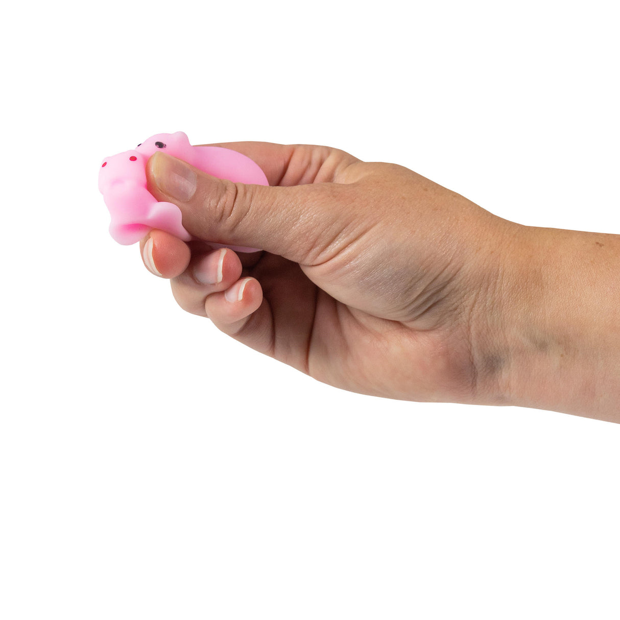 SQUISHY CUTE ANIMALS TUB