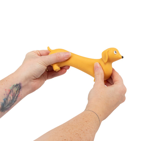 STRETCHY SAUSAGE DOG