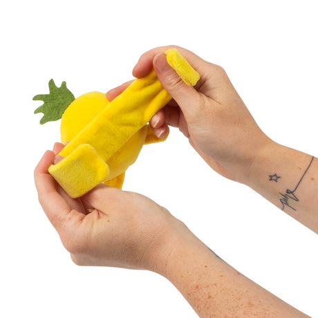 FRUITY FRIENDS SNAP BANDS
