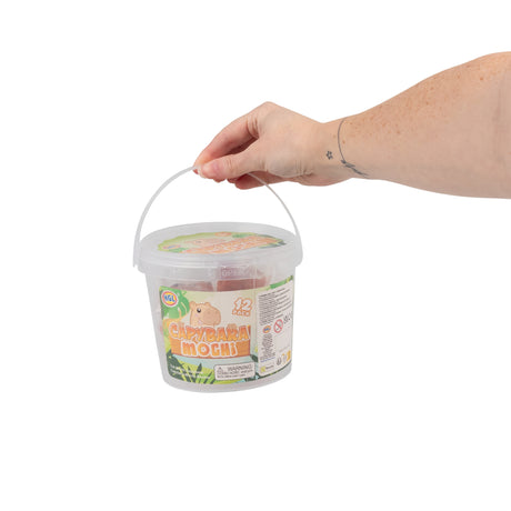 CAPYBARA MOCHI TUB 12PC