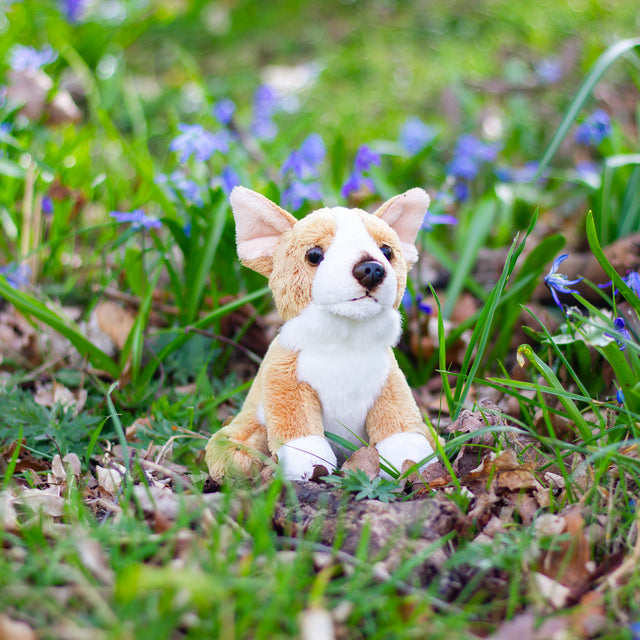 ANIMIGOS WORLD OF NATURE MINI CORGI