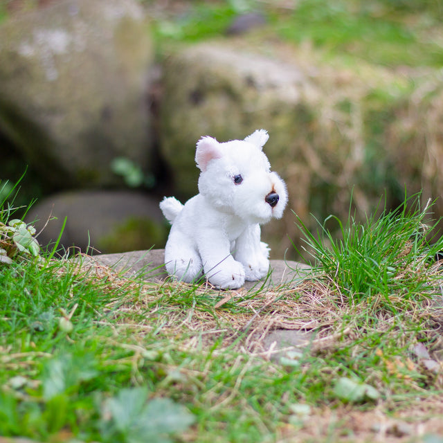 ANIMIGOS WORLD OF NATURE MINI WESTIE