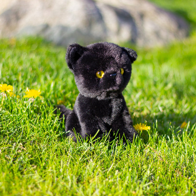 ANIMIGOS WORLD OF NATURE BLACK CAT