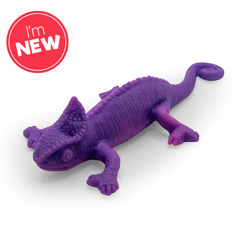 Colour sale chameleon toy